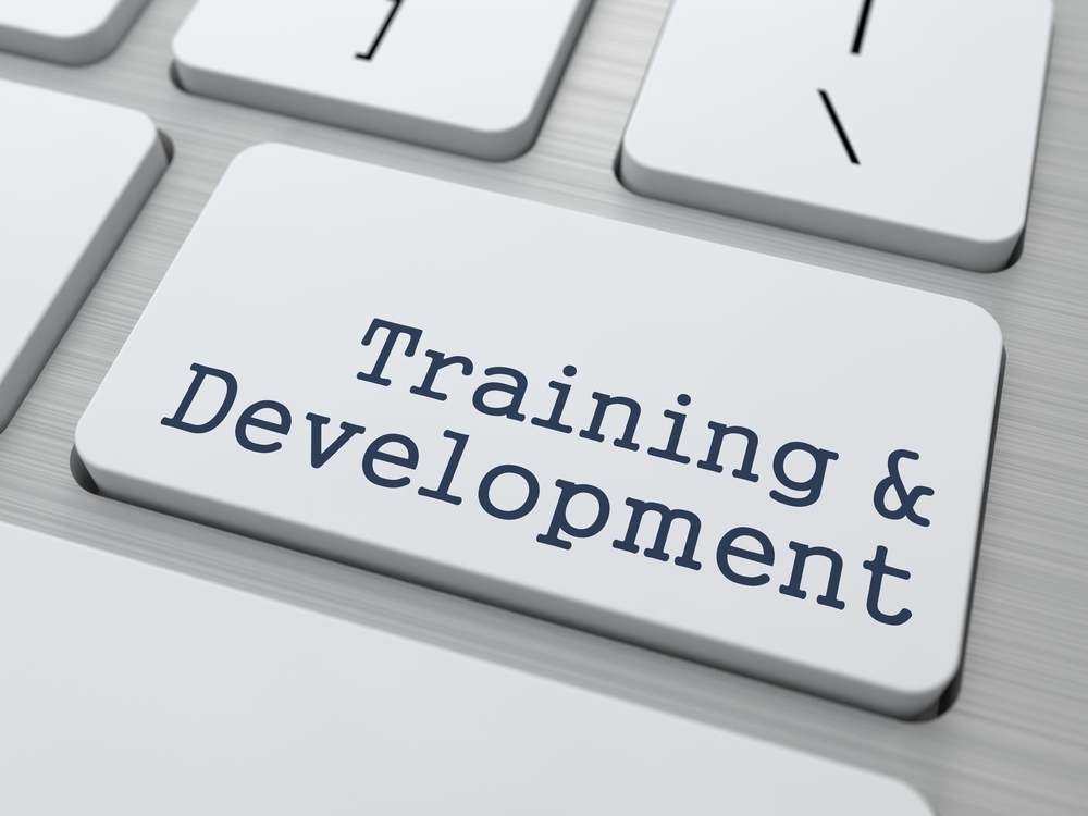 Training & Development - Button on Modern Computer Keyboard. Training & Development - Button on Modern Computer Keyboard.